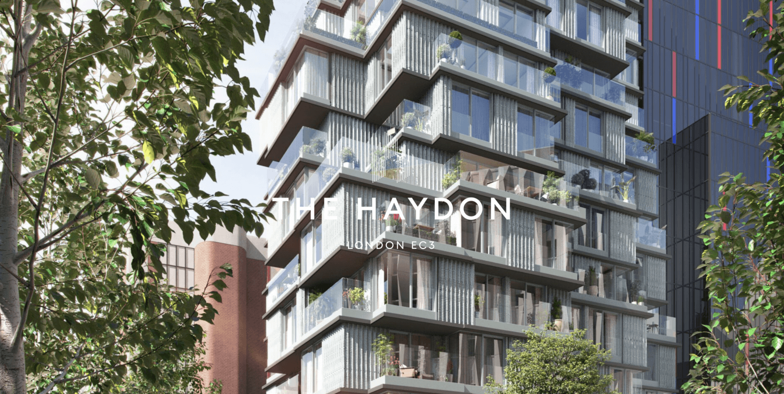 Projects- The Haydon